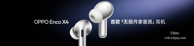 年度大盘点,股市场规模,与活跃度双,EBpay官网,EBpay支付服务,EBpay用户指南,选择EBpay,安全支付解决方案