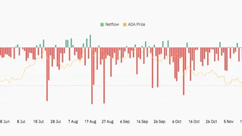 锁定高收益未来，Buidlpad Vault第二期来袭！超值8%固定回报，财富增值新选择——币币情独家揭秘！